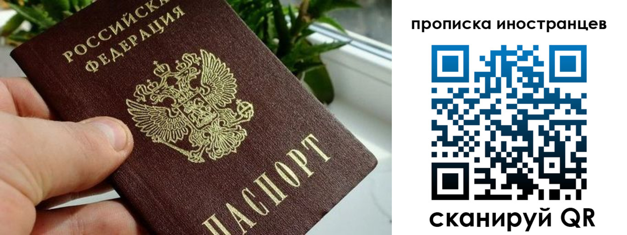 временная регистрация в Льгове
